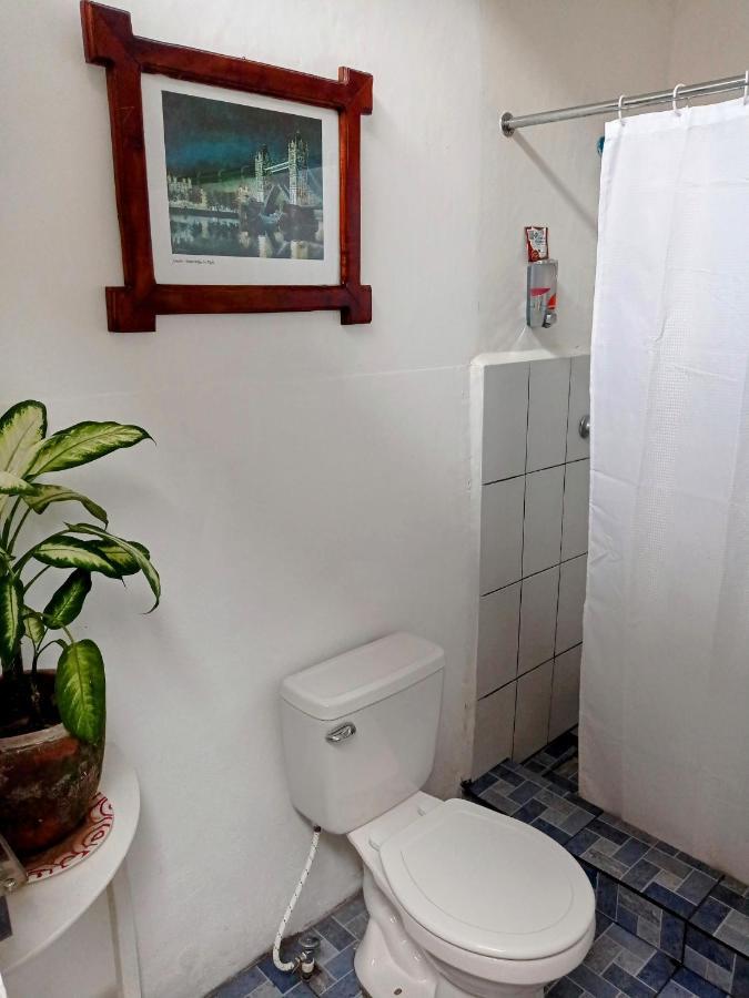 Casa Yoly Hostel غرناطة المظهر الخارجي الصورة